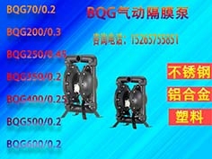 濟(jì)寧BQG氣動(dòng)隔膜泵14年的生產(chǎn)經(jīng)驗(yàn)
