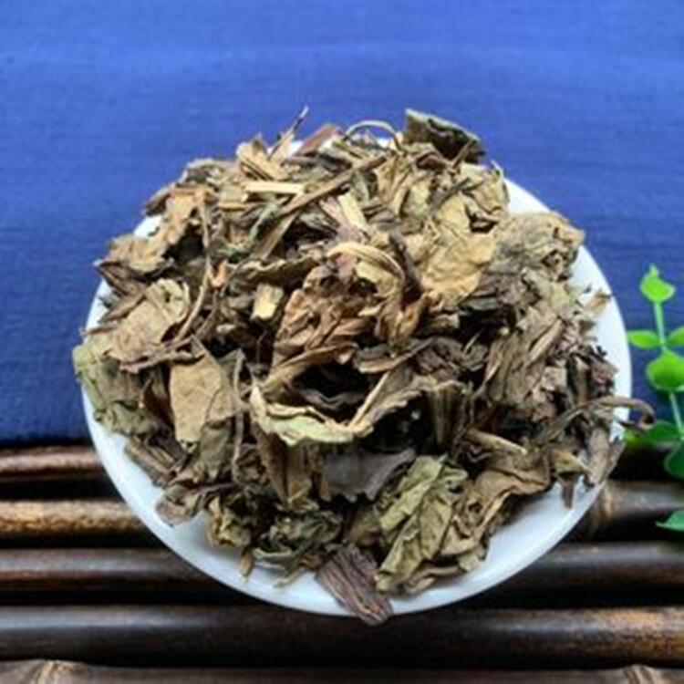板藍(lán)根種子出芽率是多少