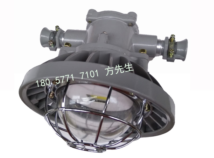 DGS36/127L(A)礦用隔爆型LED巷道燈
