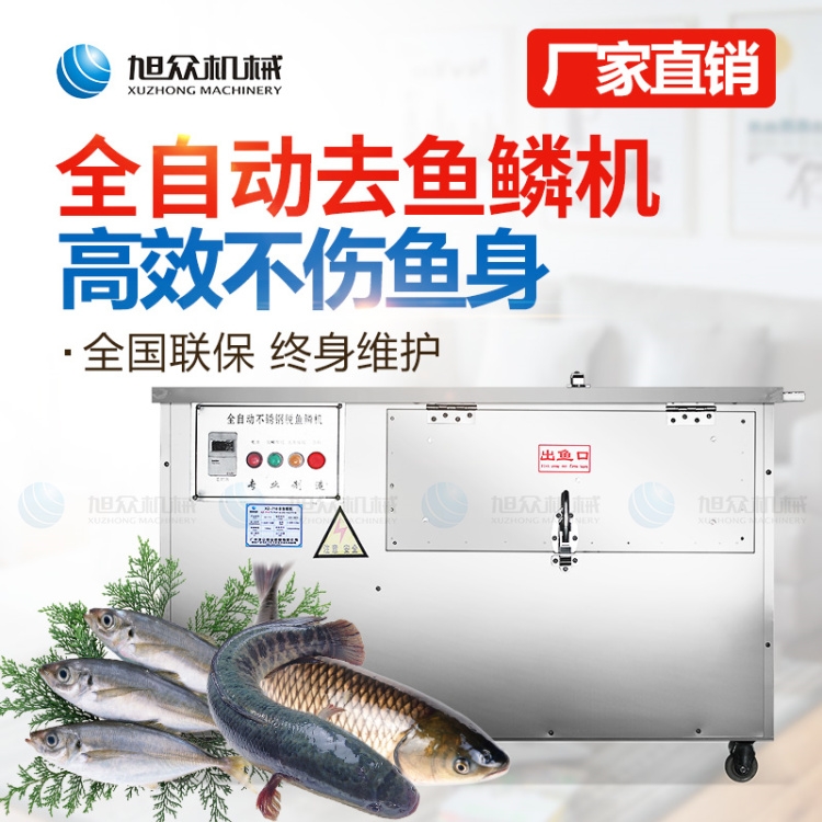 商用廠家XZ-550全自動(dòng)去魚(yú)鱗機(jī)