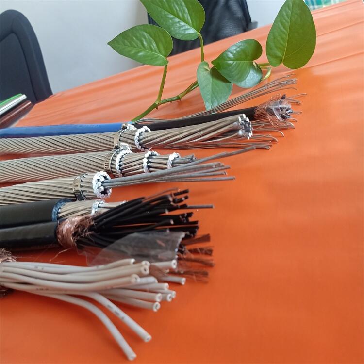 遼寧NRLH60/G1A-400/35鋼芯耐熱鋁合金導線生產(chǎn)商