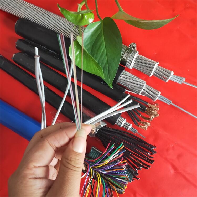 OPPC光纖復合相線OPPC-24B1-300/40光纜現貨