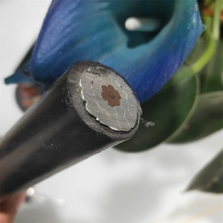 JNRLH-95/55 國標耐熱鋁合金導線 廠家現(xiàn)貨
