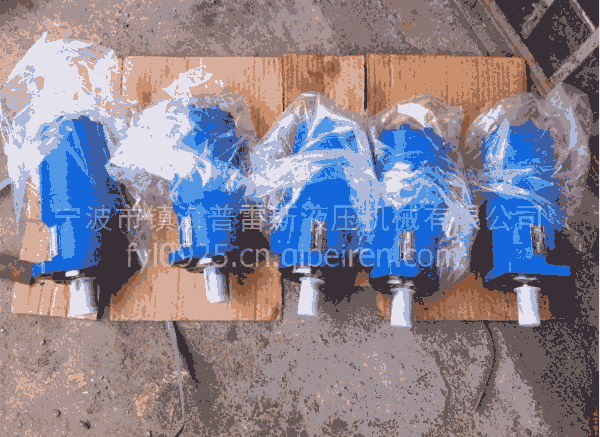 @C(j)BM1-500[R_(d)
