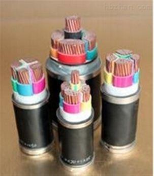 ZR-BPYJVP2變頻器電纜廠家