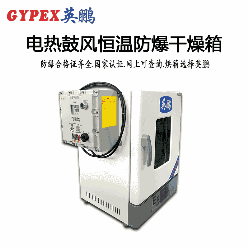 電熱鼓風(fēng)恒溫防爆干燥箱