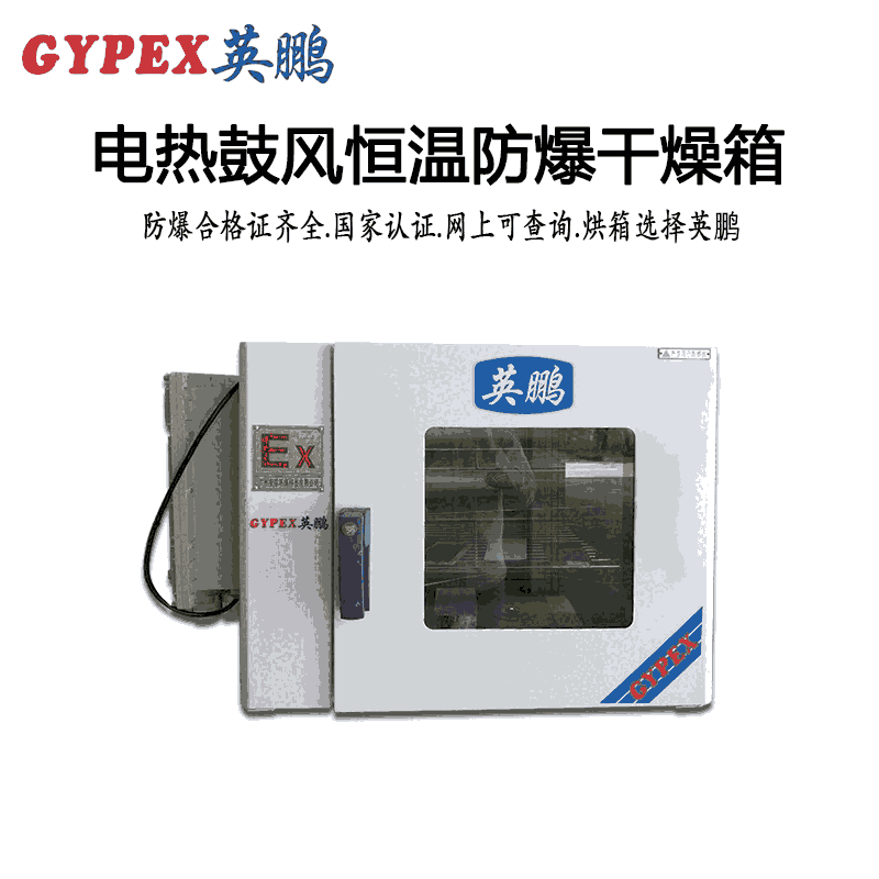 常州電熱鼓風(fēng)恒溫防爆干燥箱
