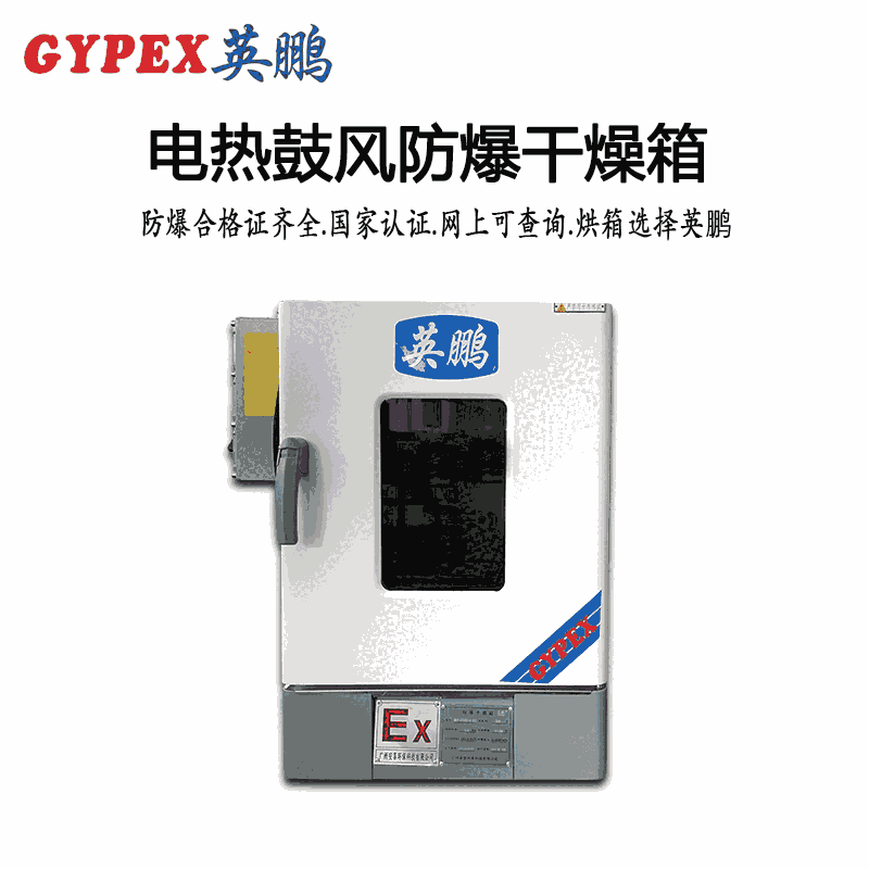 徐州防爆恒溫鼓風(fēng)干燥箱
