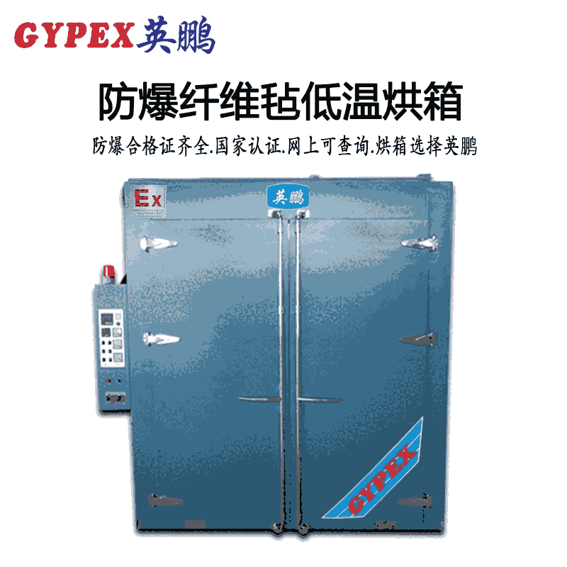 雙開門防爆低溫?zé)犸L(fēng)循環(huán)烘箱