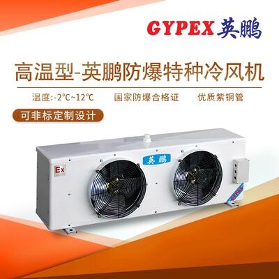 柳州防爆特種冷風(fēng)機(jī)，DL-10