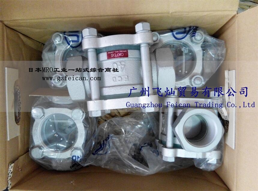 日本UW窺視器wasino流量計(jì)GEFDS-25A