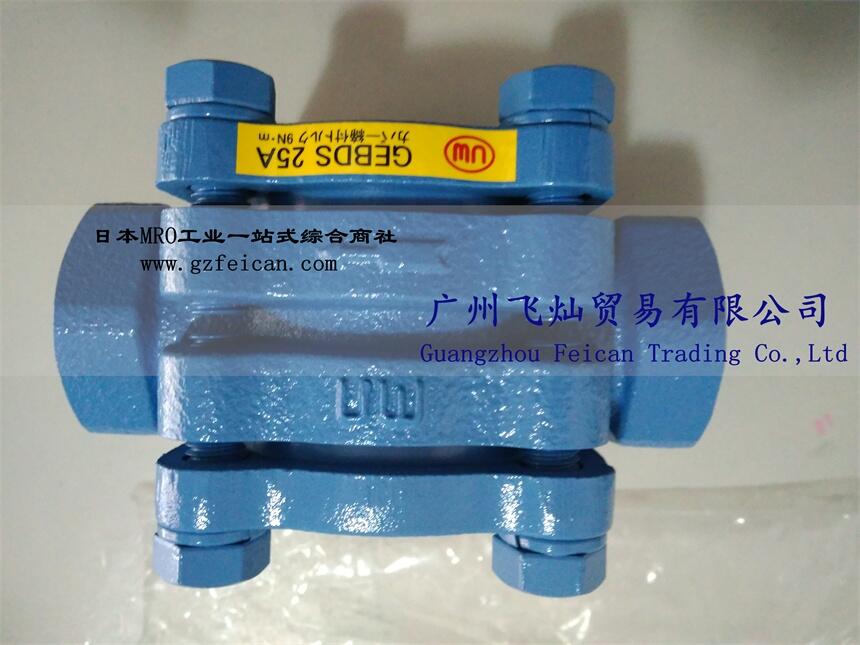 日本UW窺視器wasino流量計(jì)GEBDS-25A