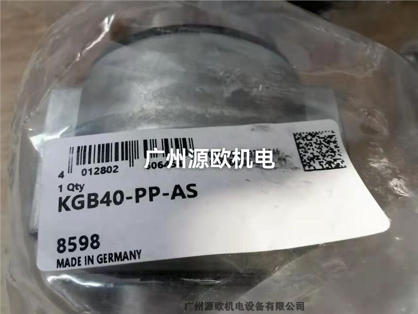 KGB25-PP-AS 廣州源歐機(jī)電 銷售原裝德國(guó)INA直線襯套