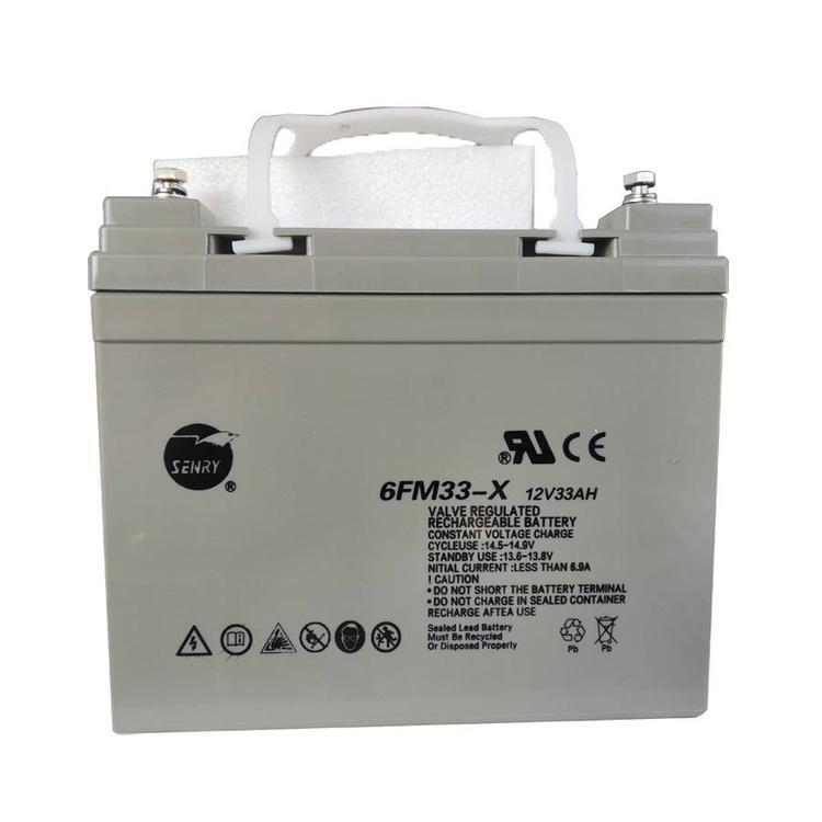 三瑞免維護鉛酸蓄電池6FM33 12V33AH