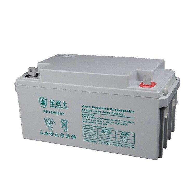 蓄電池PH65-12 金武士蓄電池12V65AH品牌報價