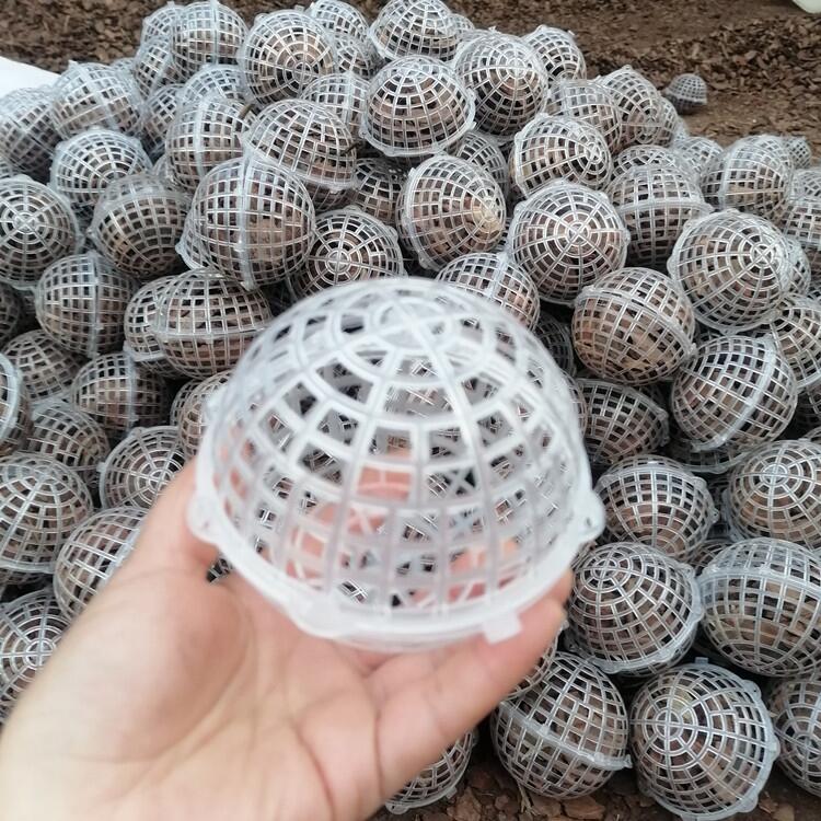 凈化水質(zhì)懸浮球填料生產(chǎn)廠家大量批發(fā)價(jià)