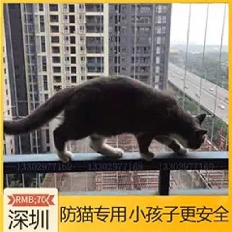 深圳寵物貓高空防掉網(wǎng)深圳寵物貓高空防護(hù)網(wǎng)深圳寵物貓高防墜落網(wǎng)