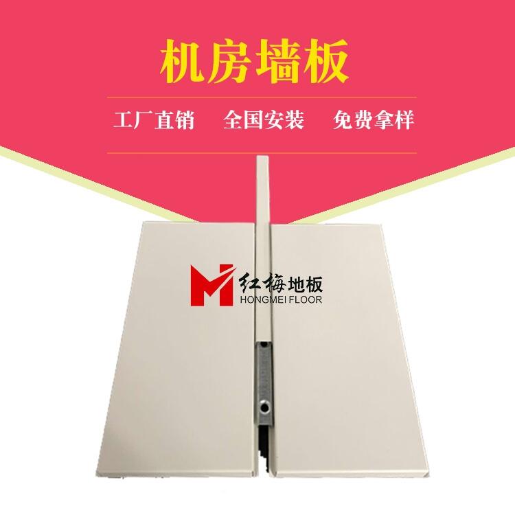 數(shù)據(jù)機(jī)房防靜電墻板，防靜電隔斷，機(jī)房隔斷墻板，機(jī)房彩鋼板銷售安裝