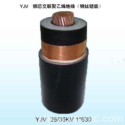湖南計(jì)算機(jī)電纜DJYPVP欣華強(qiáng)計(jì)算機(jī)屏蔽電纜DJYPVP高溫計(jì)算機(jī)電纜