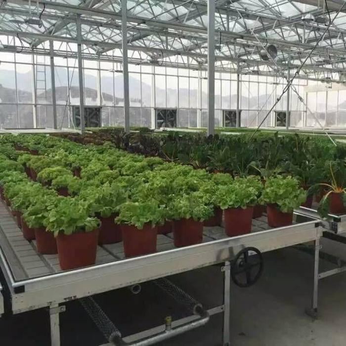 陜西溫室潮汐苗床操作簡單，使用方便