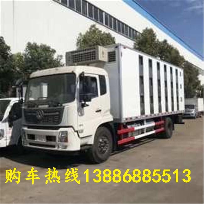 解放系列雞苗運(yùn)輸車優(yōu)惠來襲