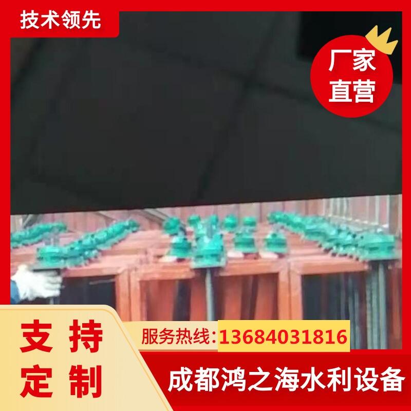 貴州六盤水市生產(chǎn)鋼閘門廠家直升降閘門