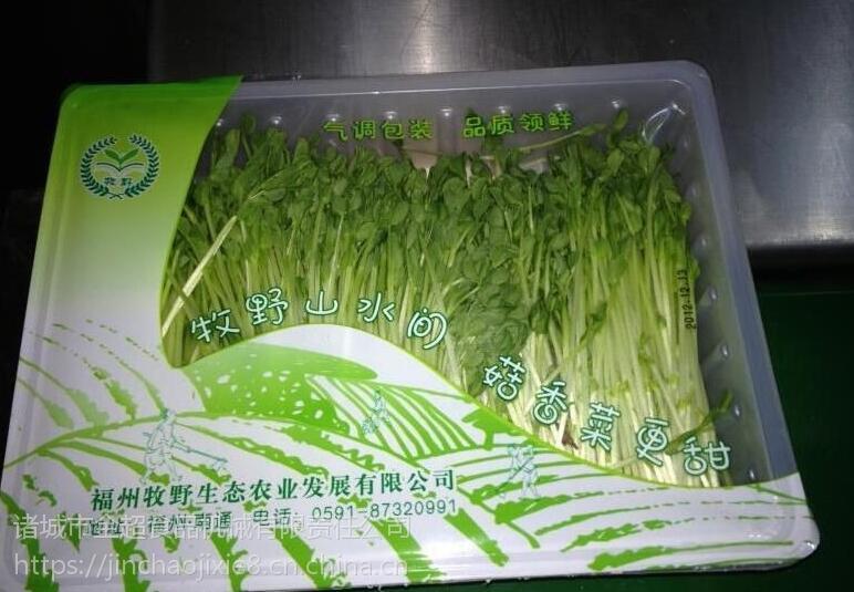 豆芽鎖鮮裝氣調包裝機  果蔬類封盒保鮮包裝封口機