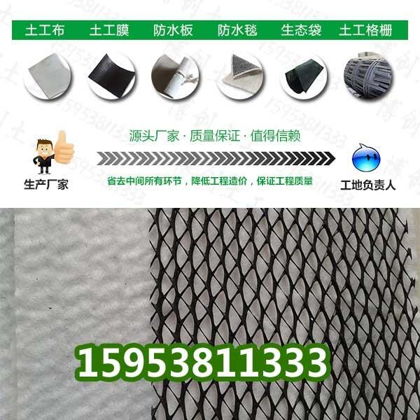 歡迎光臨%【白山三維復(fù)合排水網(wǎng)廠家】廠家品牌