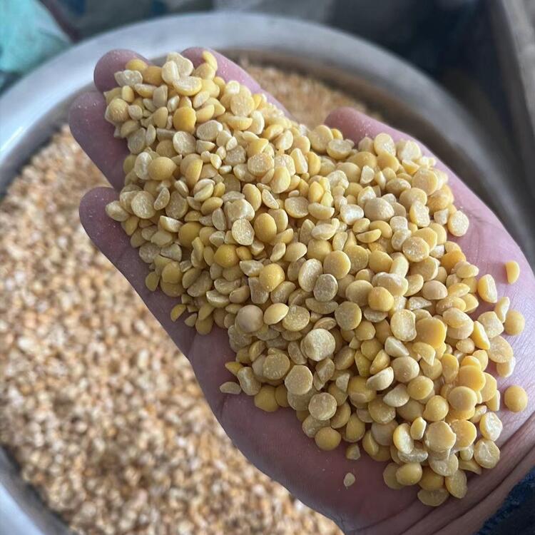 工科機械PB8型號黃豆破瓣機 全自動豌豆黑豆去皮磕瓣機