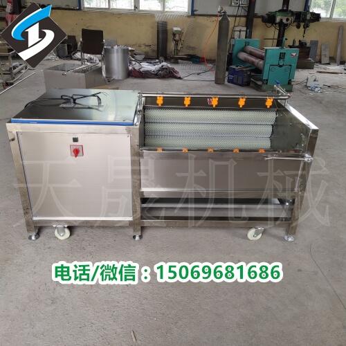 毛輥清洗機，大姜清洗去皮機，海蠣子清洗機