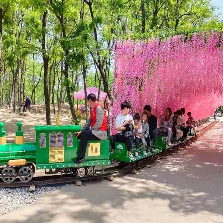 觀光小火車(chē)施工安裝 仿真模擬蒸汽汽笛  電動(dòng)有軌小火車(chē)廠家供應(yīng)