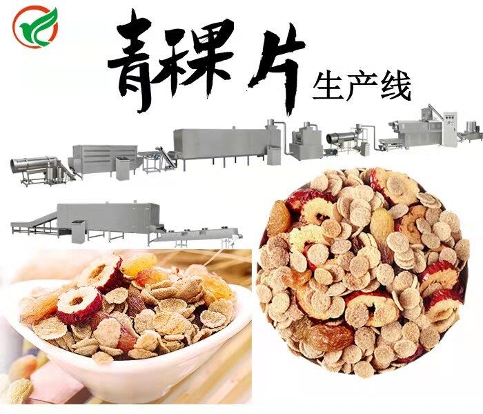 玉米片生產(chǎn)機(jī)械，雜糧青稞麥片生產(chǎn)設(shè)備