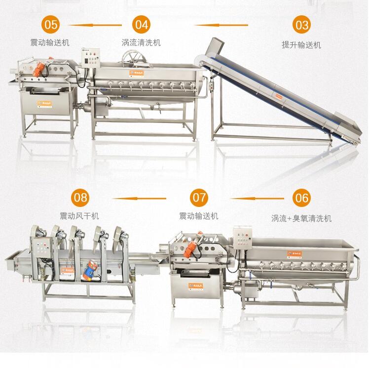 大棗小西紅柿渦流清洗機 草莓蘋果梨橙子清洗機 全自動渦流清洗機