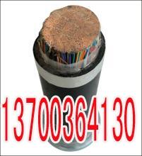 邵陽(yáng)變頻器屏蔽電纜BP價(jià)格