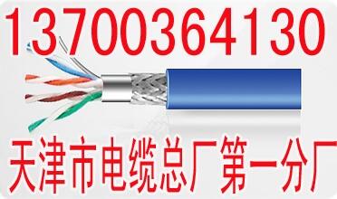 荊門專用變頻電纜YJVPBP工藝
