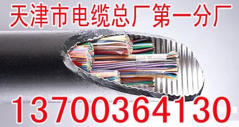 廊坊銅絲屏蔽變頻電纜BPYJVP國標(biāo)