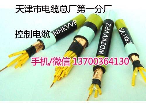 煙臺(tái)阻燃變頻電纜BP-YJVP電話