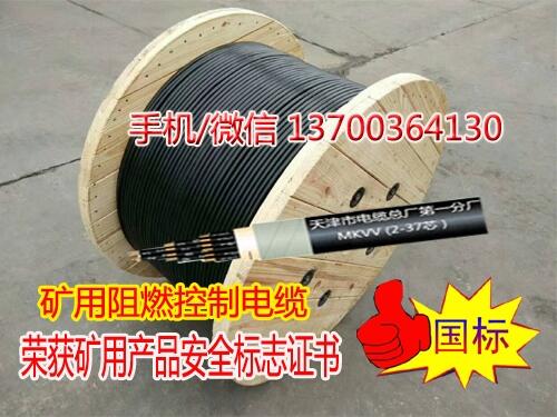 呼和浩特變頻電纜BPYJVP制造