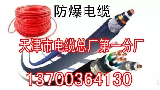 廊坊變頻電纜BPYJVP廠家