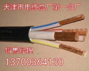 克拉瑪依專用變頻電纜YJVPBP國標(biāo)