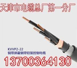 普洱阻燃變頻電纜BP-YJVP電話