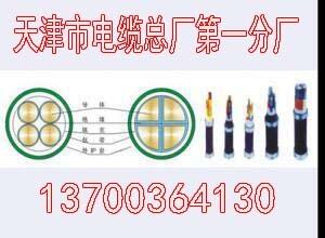 雞西變頻電纜BPYJVP廠家