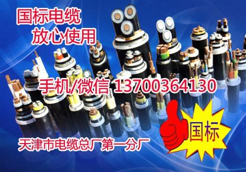 德宏阻燃變頻電纜BP-YJVP工藝