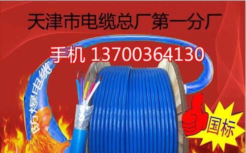 海西銅絲屏蔽變頻電纜BPYJVP電話