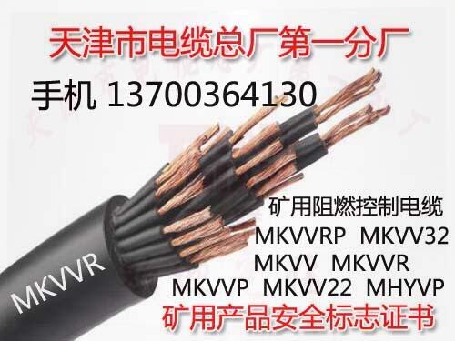曲靖銅絲屏蔽變頻電纜BPYJVP電話