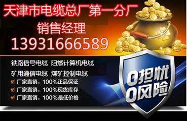 固原變頻器屏蔽電纜BP結(jié)構(gòu)