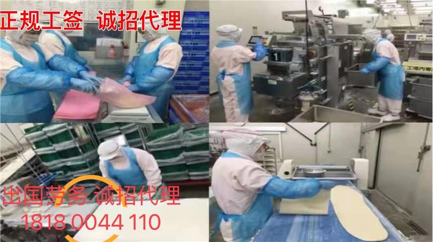 出國(guó)打工歐洲發(fā)達(dá)國(guó)家急招建筑工普工司機(jī)廚師年薪40萬加