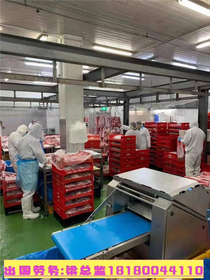 出國務工勞務公司有哪些 去發(fā)達國家打工有保障嗎