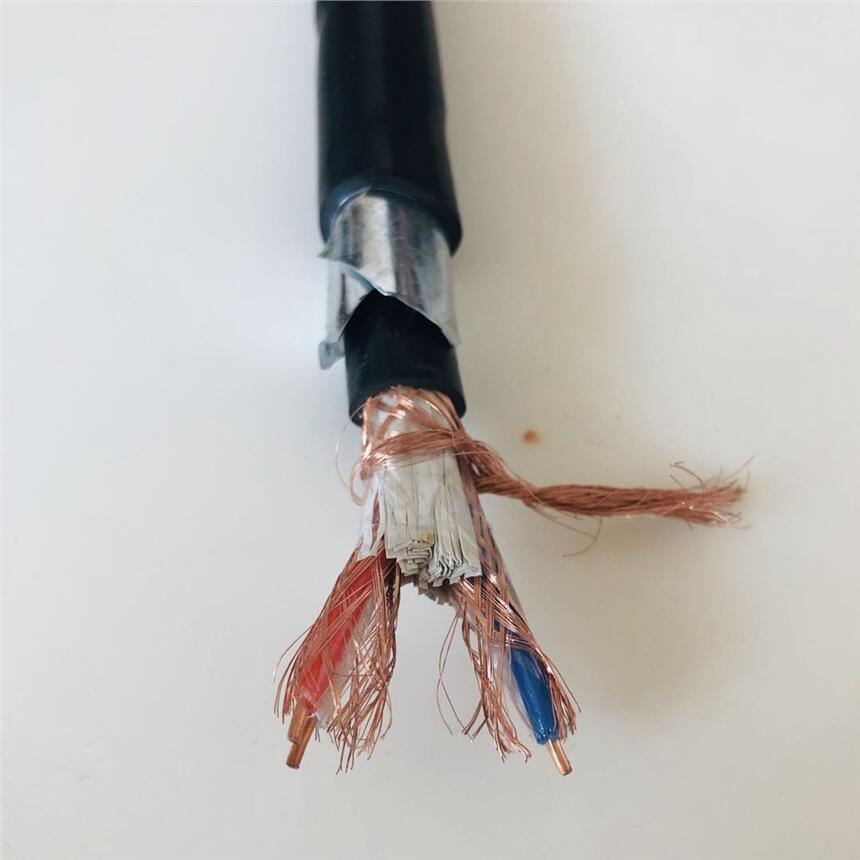 雙絞雙屏蔽計算機信號電纜DJYP3VR鎧裝計算機電纜DJYJP2VRP2-22市場價格