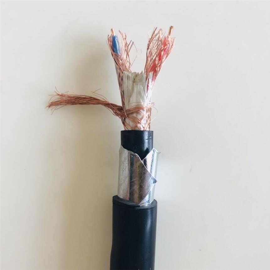 銅絲屏蔽計算機電纜ZR-DJPVP22電子計算機用屏蔽電纜DJYPV的價格